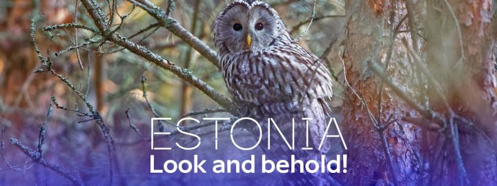 Estonia – look and behold